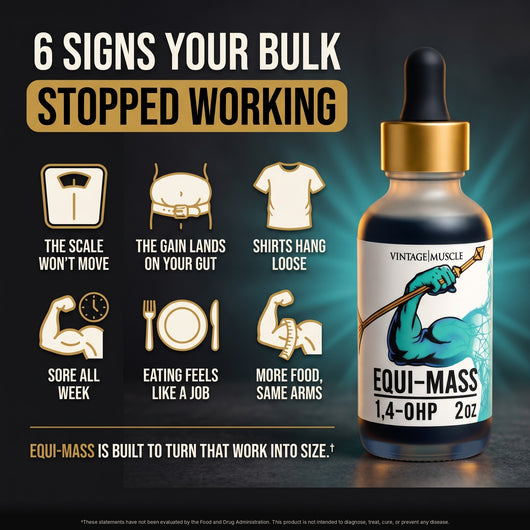 Hardgainer, Recovery, Mass Builder Blend - Equi-Mass™