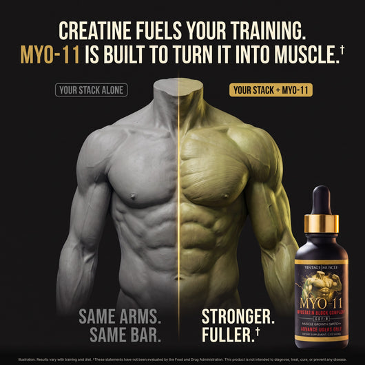 Myostatin Inhibitor Muscle Builder - MYO-11