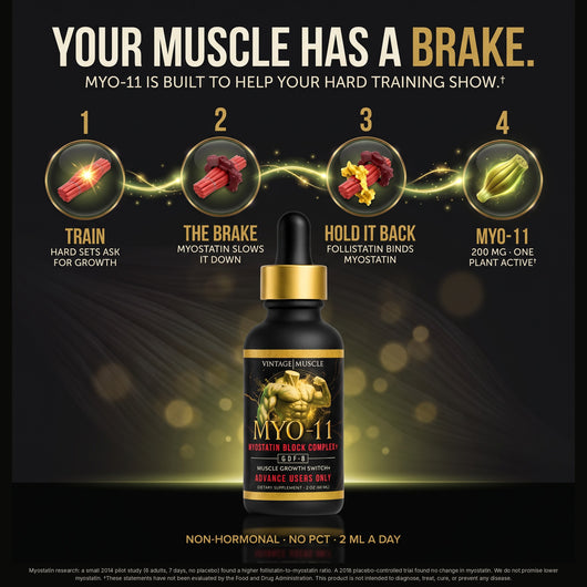 Myostatin Inhibitor Muscle Builder - MYO-11