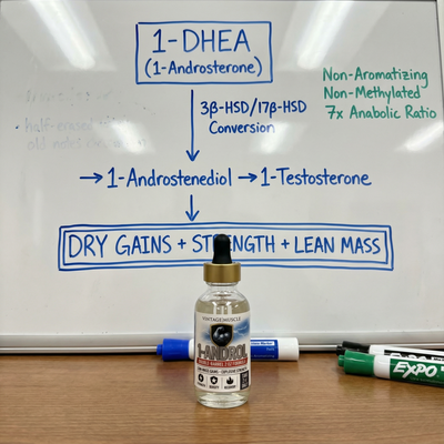 Lean Mass Supercharger - 1-Androl