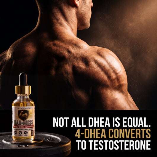Testosterone Precursor - RAD-Mass