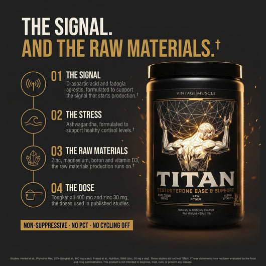 How TITAN works: the signal (D-aspartic acid, fadogia agrestis), the stress (ashwagandha for cortisol), the raw materials (zinc, magnesium, boron, vitamin D3) and the dose (tongkat ali 400 mg, zinc 30 mg). Non-suppressive, no PCT.